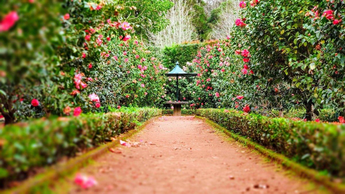 Landscape design and outdoor green space