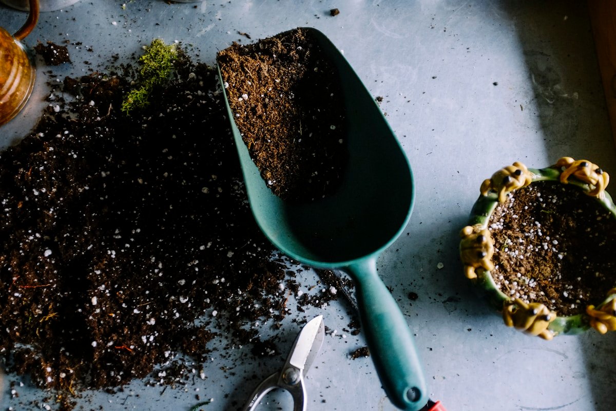 Professional landscaping and planted garden beds